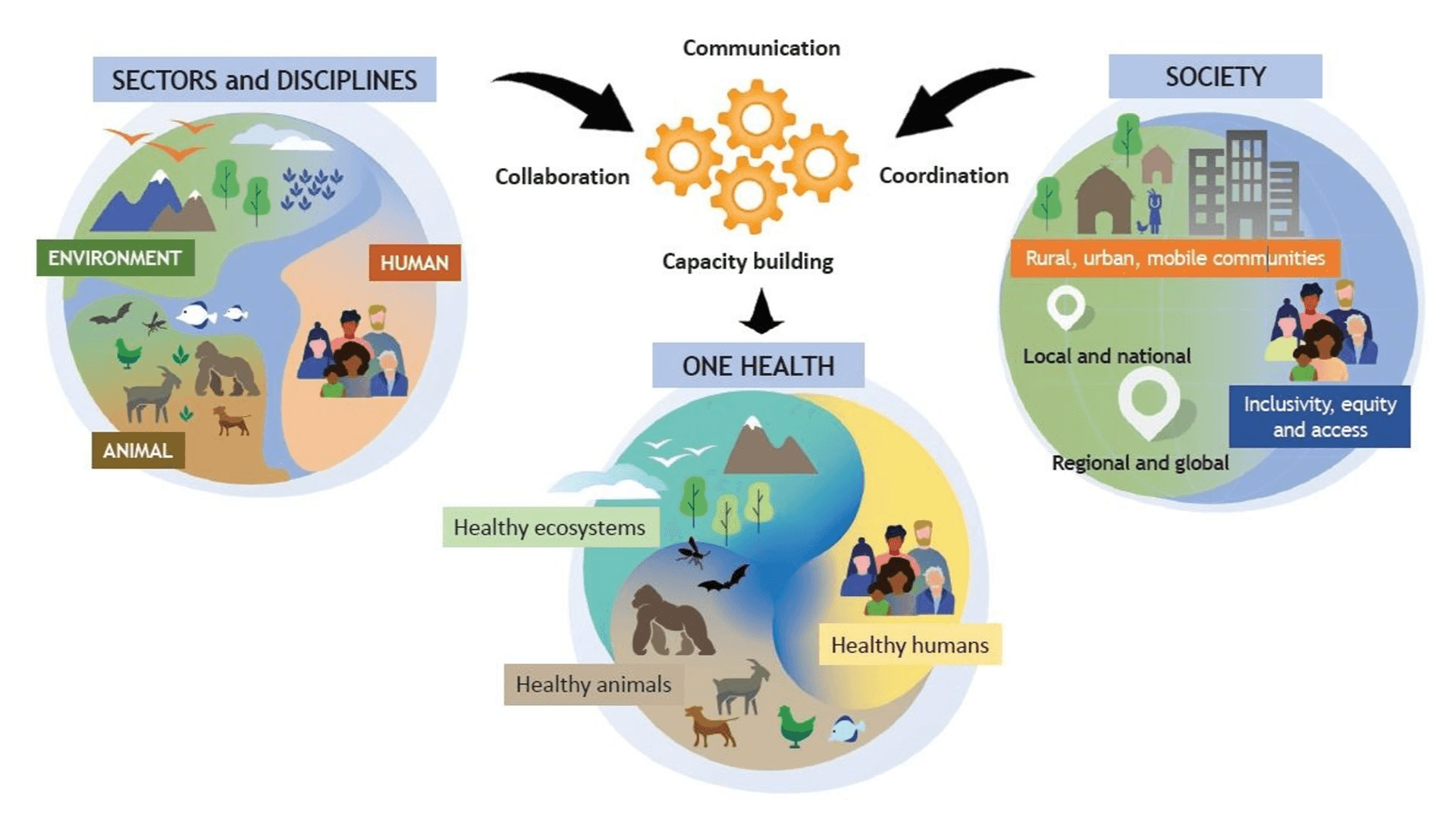 Figure by the World Health Organization depicting the One Health concept